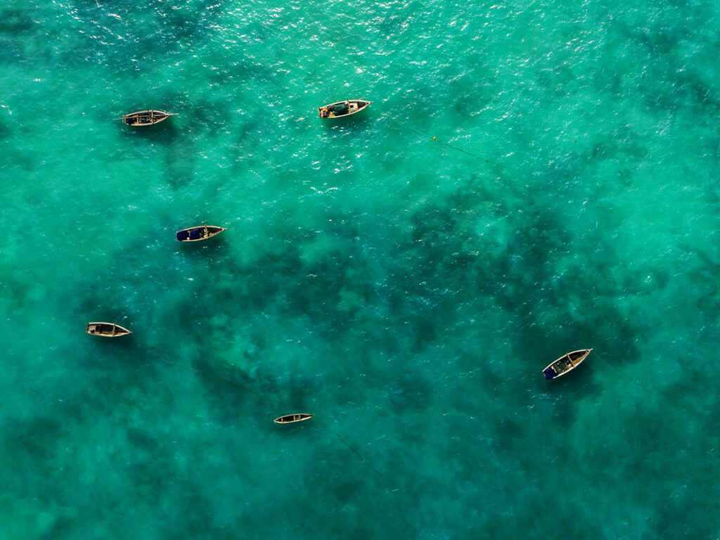 overview af tyrkisblåt havvand med en masse små både på zanzibar