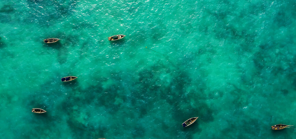 overview af tyrkisblåt havvand med en masse små både på zanzibar